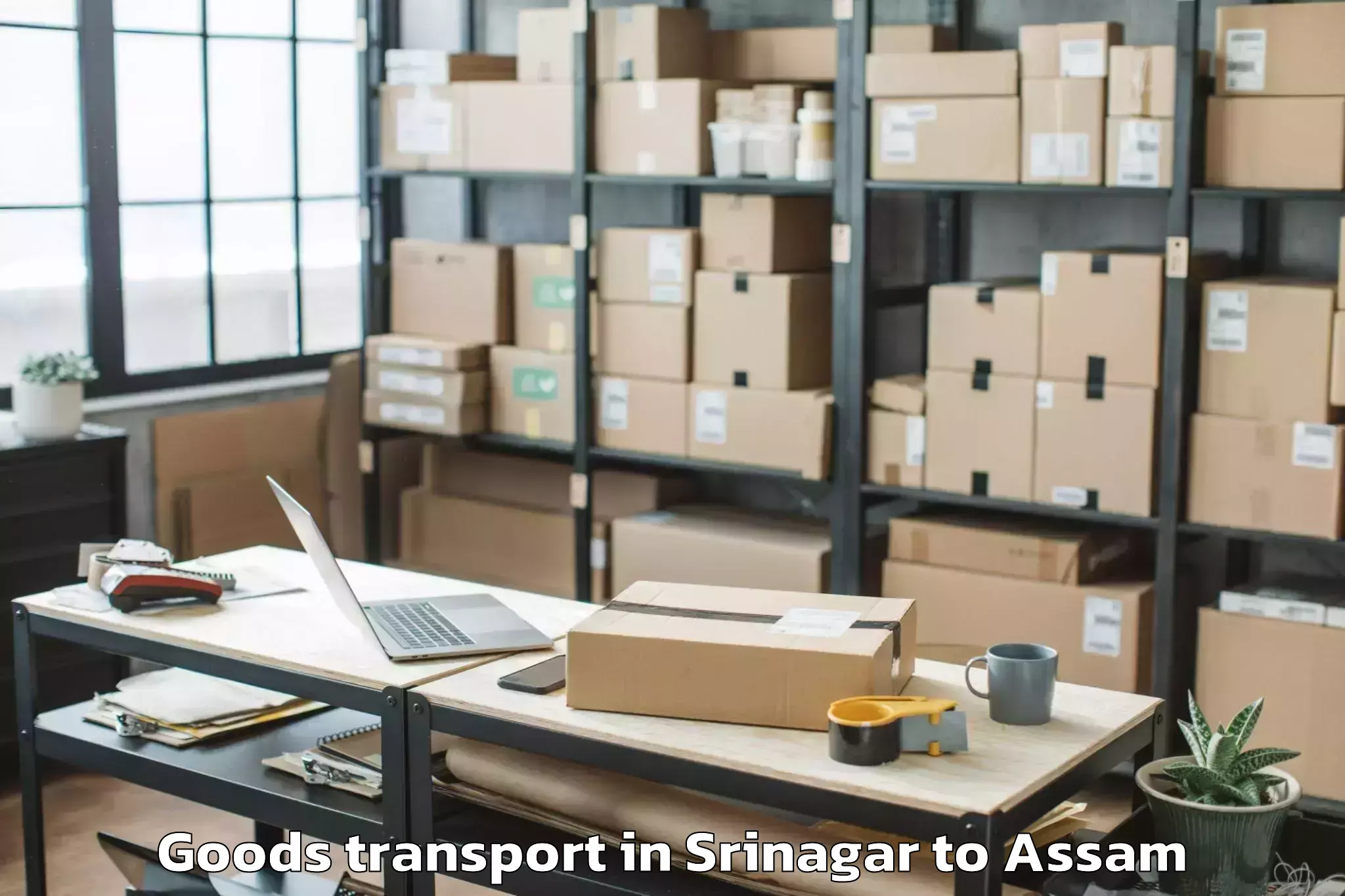 Expert Srinagar to Biswanath Charali Goods Transport